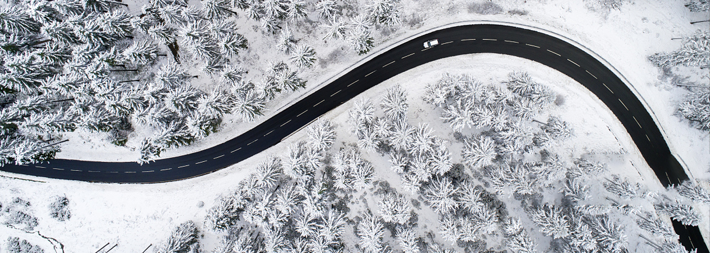雪地胎